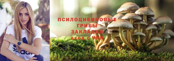 2c-b Волосово