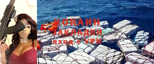 шишки Волоколамск