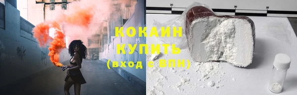 шишки Волоколамск