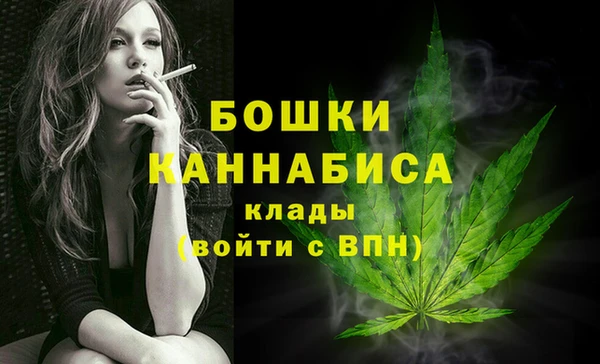 шишки Волоколамск