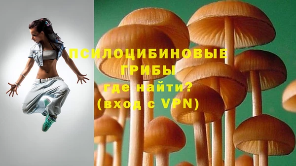 2c-b Волосово