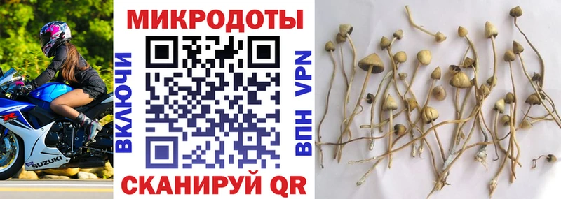 Псилоцибиновые грибы GOLDEN TEACHER  Сыктывкар 